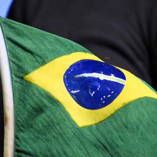 A picture of the Brazilian flag