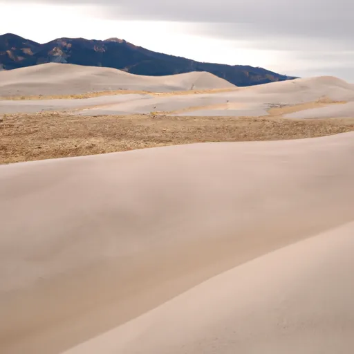 A picture of sand dunes