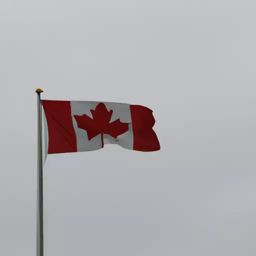 A picture of the Canadian Flag