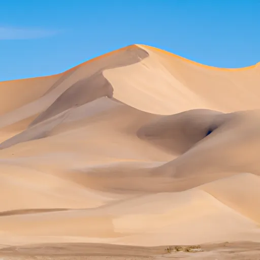 A picture of vast sand dunes in a desert