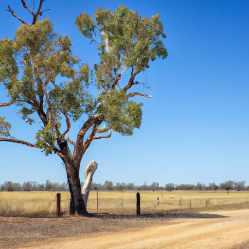 An image of an Australian Outback