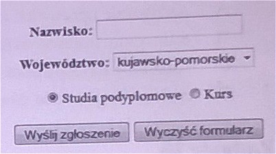 Ilustracja do pytania 56: Które z pól są umieszczone w formularzu?