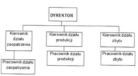 Ilustracja do pytania 1446: Na rysunku przedstawiono schemat struktury organizacyjnej stosowanej najczęście…