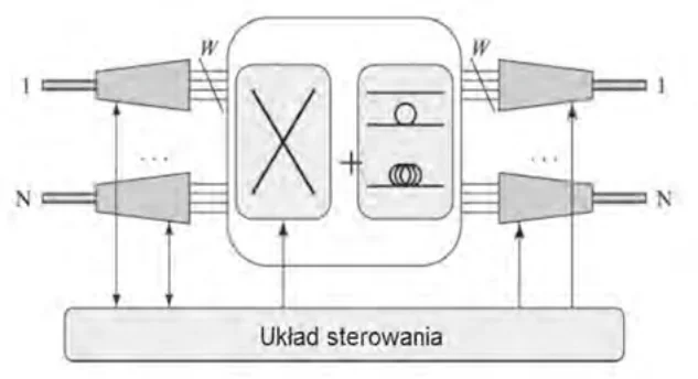 Ilustracja do pytania 1366: Który układ oznaczony jest symbolem X na rysunku przedstawiającym strukturę rut…