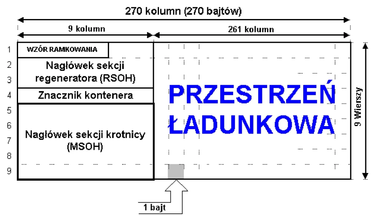 Ilustracja do pytania 194: Na rysunku jest przedstawiona struktura ramki systemu