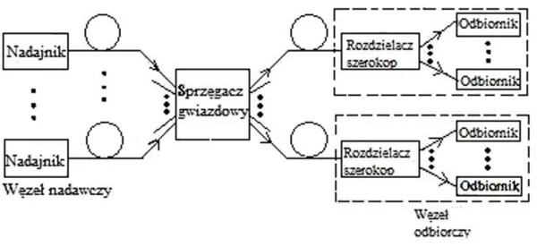 Ilustracja do pytania 920: Jaką topologię sieci szerokopasmowych WDM przedstawia rysunek?
