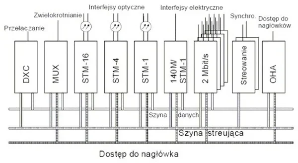 Ilustracja do pytania 967: Rysunek przedstawia strukturę sieci