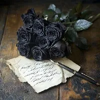 Asn  Abu shahad profile