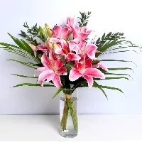 Lily •