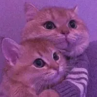 Miss Unknown profile