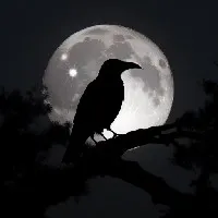 Lonely and Broken Soul profile