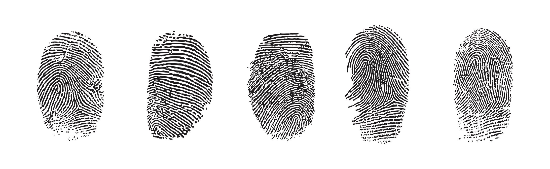 Human Fingerprints