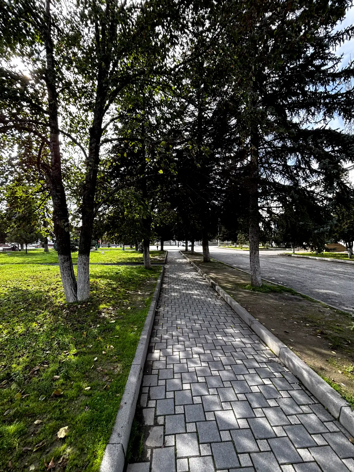 🌿 Main Park of Qusar