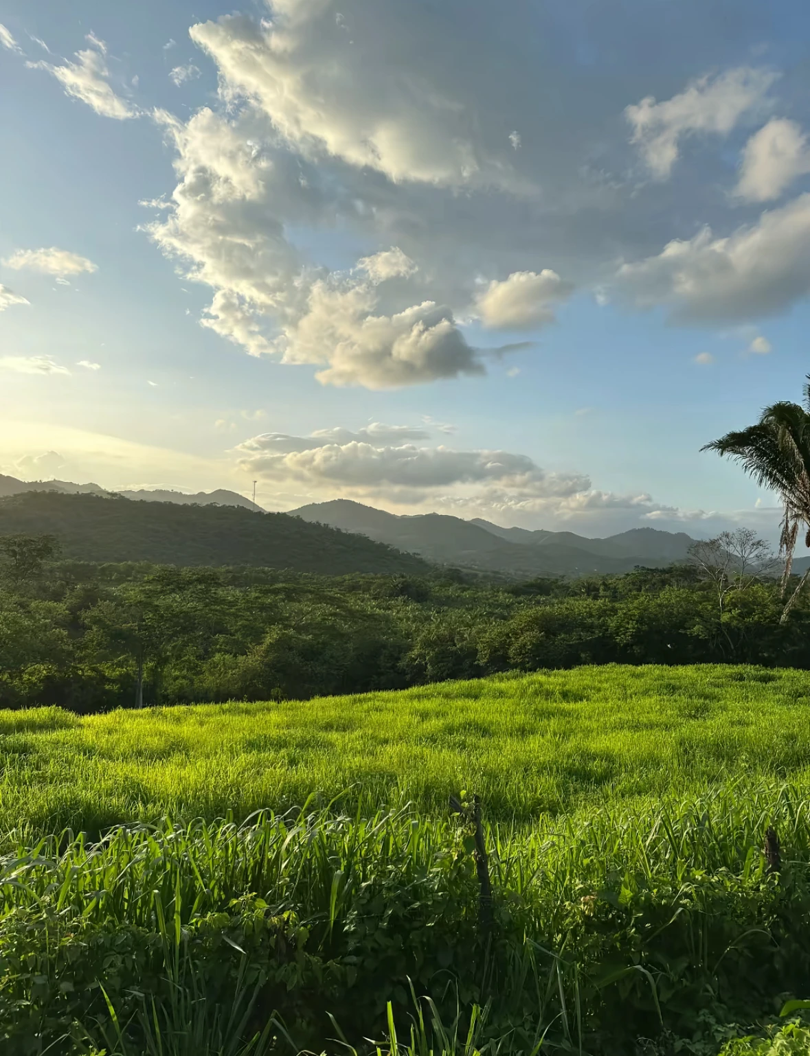 🌄 Green Hills of Shahdag
