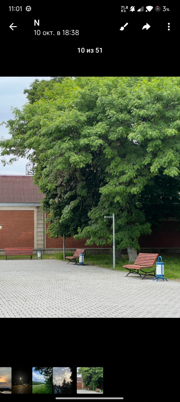 🎨 Art Gallery Park