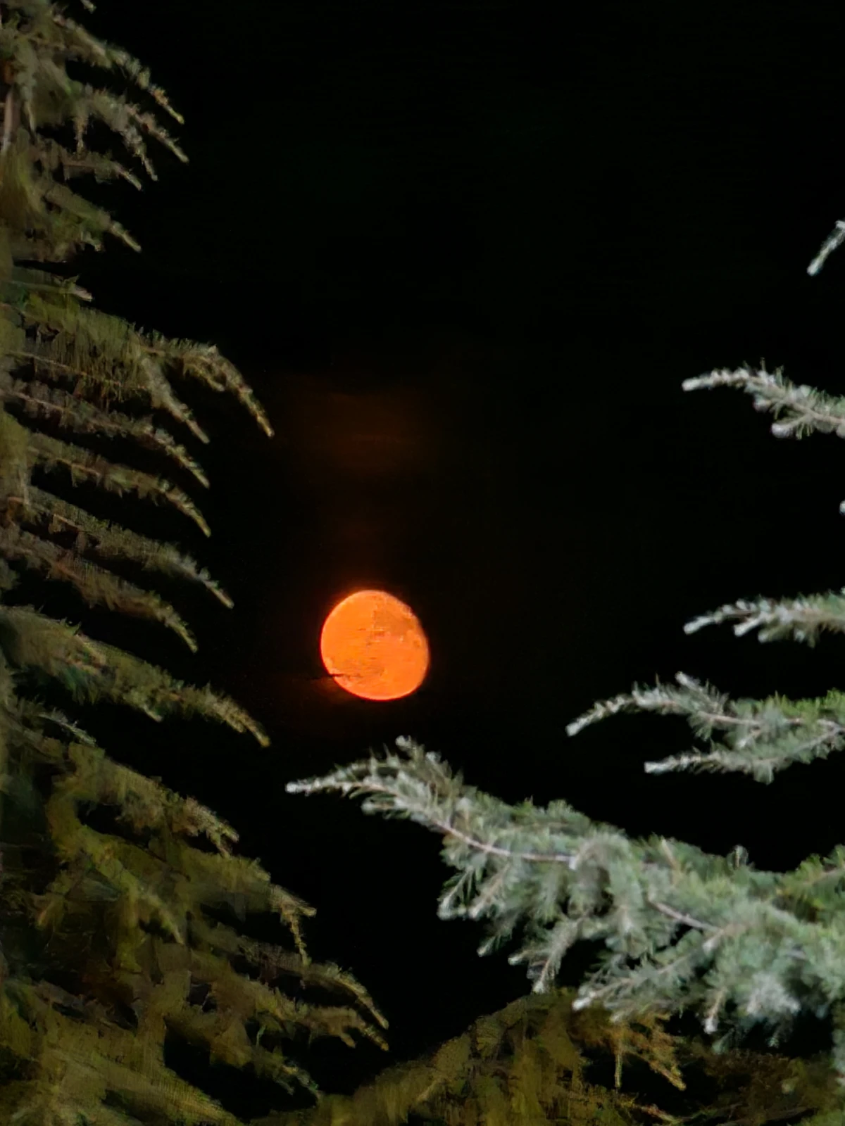 🌇 Sunset Over Qusar