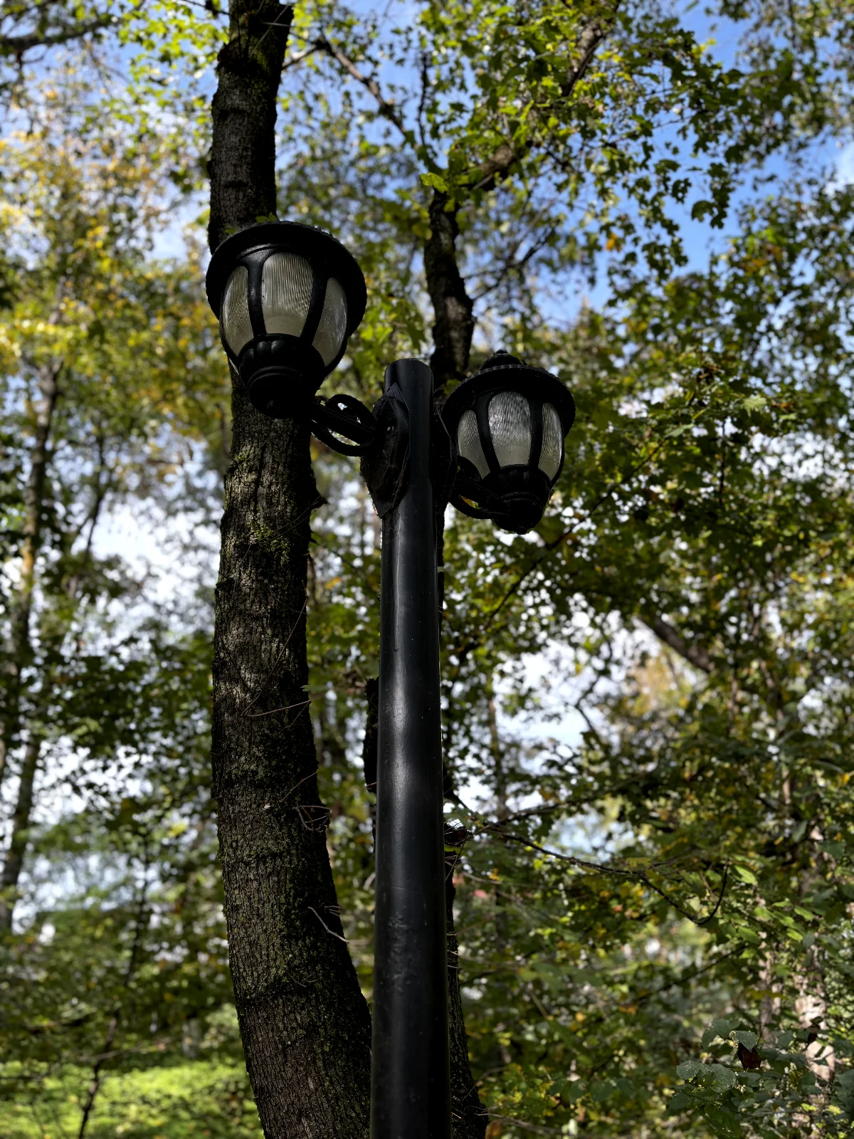 🌿 Nariman Narimanov Park