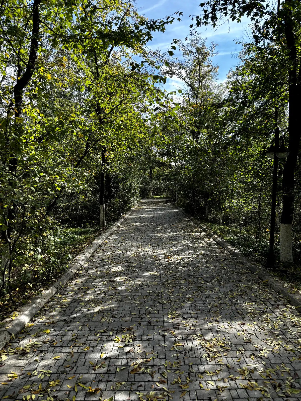 🌿 Nariman Narimanov Park