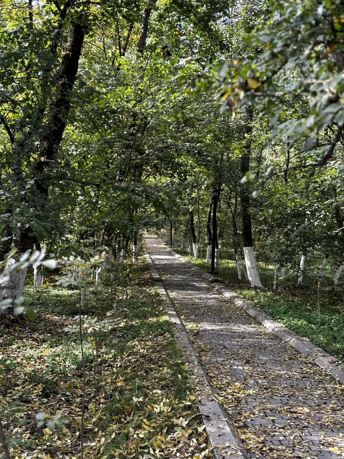 🌿 Nariman Narimanov Park