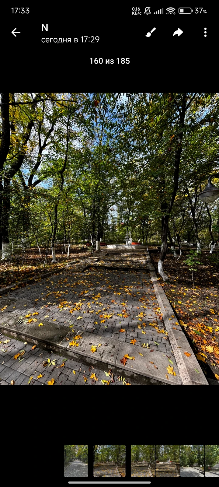 🌿 Nariman Narimanov Park