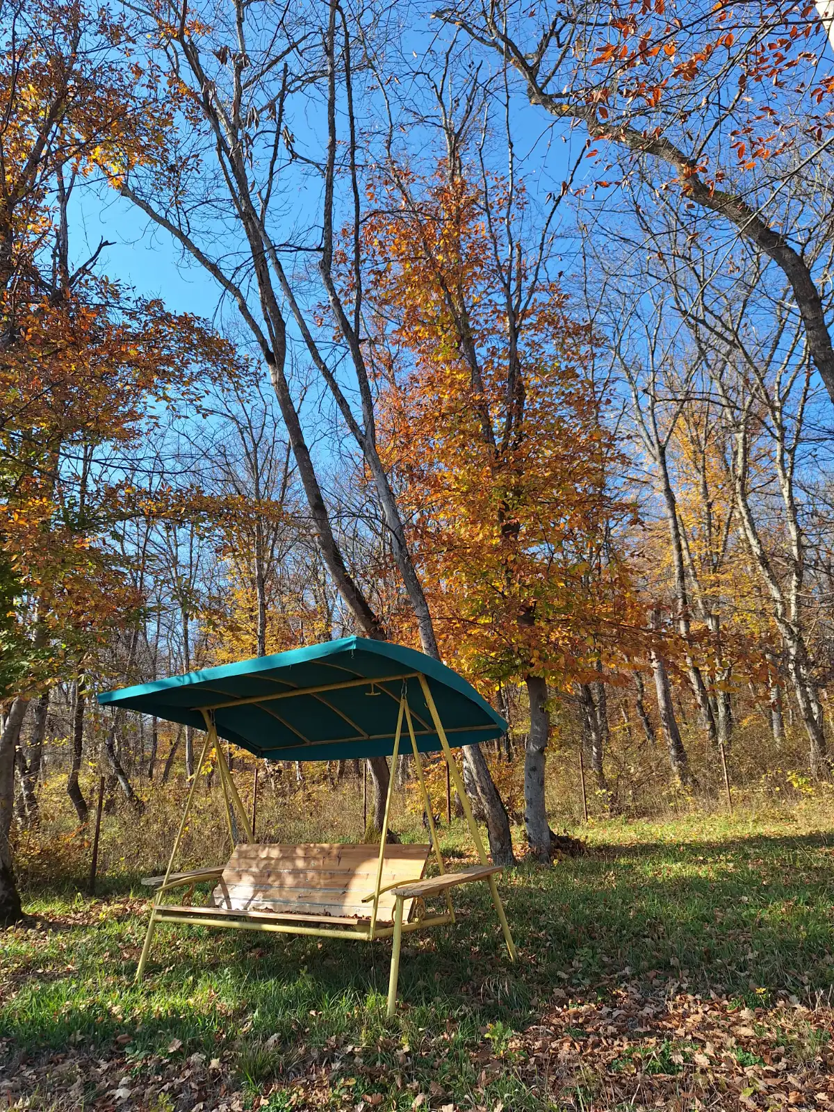 🍂 Narimanov Park in Autumn