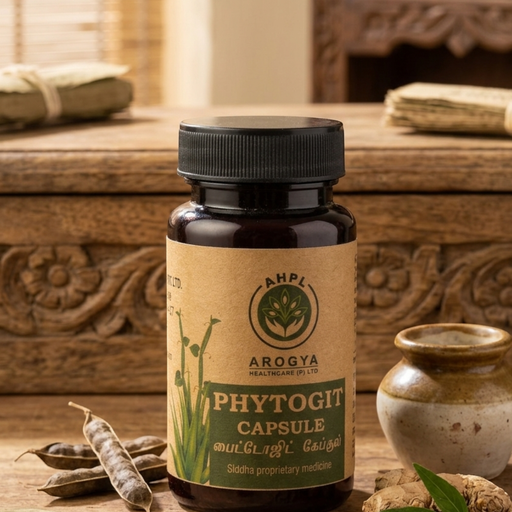 PHYTOGIT CAPSULE 60 Capsules