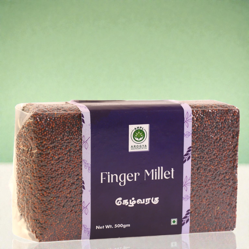 Finger Millet (Ragi)