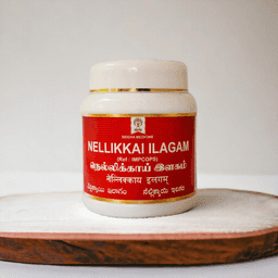 Nellikkai Ilagam