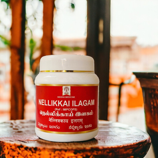 Nellikkai Ilagam image 3