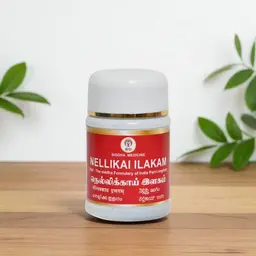 Nellikkai Ilagam