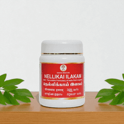 Nellikkai Ilagam