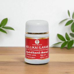 Nellikkai Ilagam