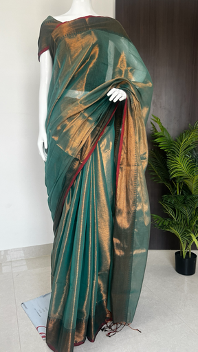 Tissue Saree with Border