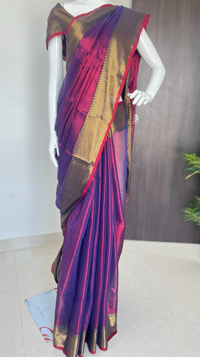 Tissue Saree with Border