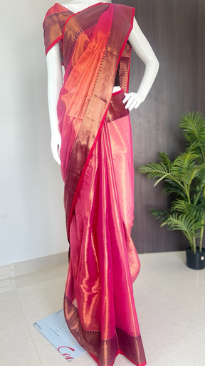 Tissue Saree with Border