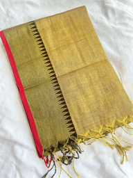 Tissue Saree with Border