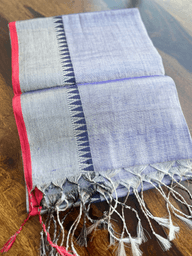 Tissue Saree with Border