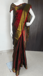 Tissue Saree with Border