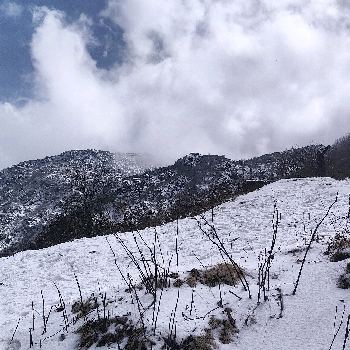 faiyaz-ahma's avatar