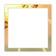 brd-33332