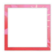 brd-33338
