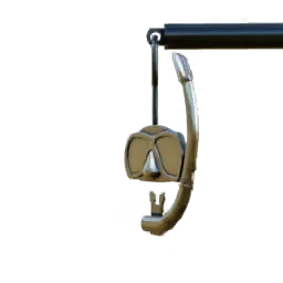 Snorkeling Gear