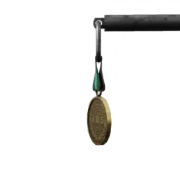 Graduation Medal