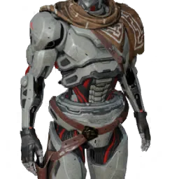 Torso