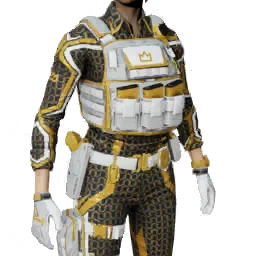 Torso