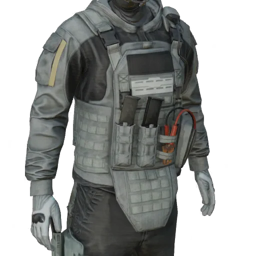 Torso