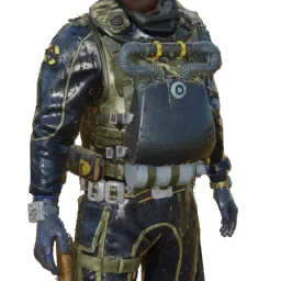 Torso