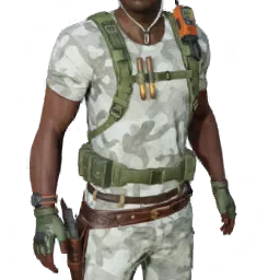 Torso
