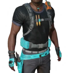 Torso