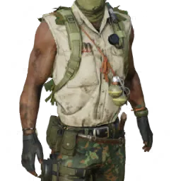 Torso